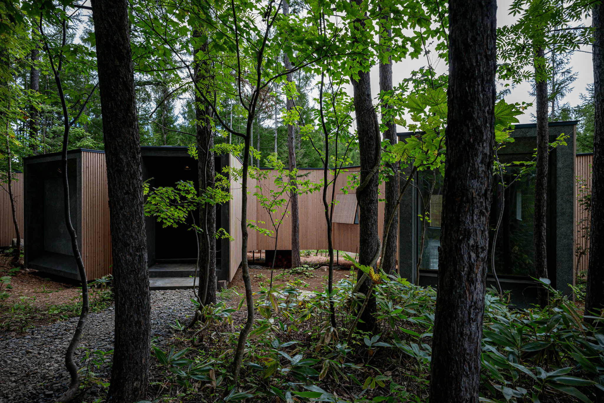 フロリアン ブッシュ建築設計事務所による 北海道 磯谷郡の住宅 森の中の家 Architecturephoto Net