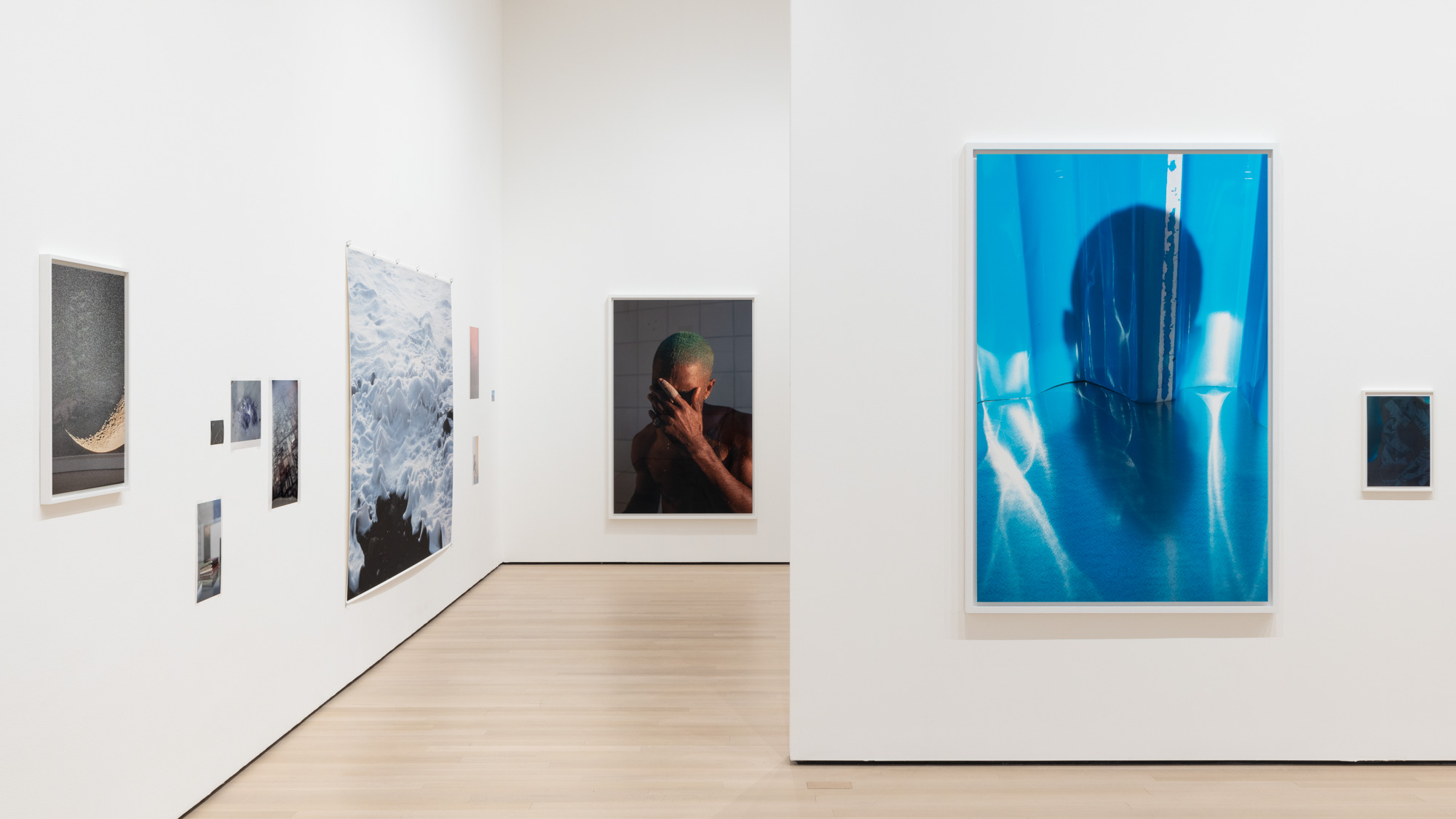 MOMA Wolfgang Tillmans S チャンピオン - beaconparenting.ie