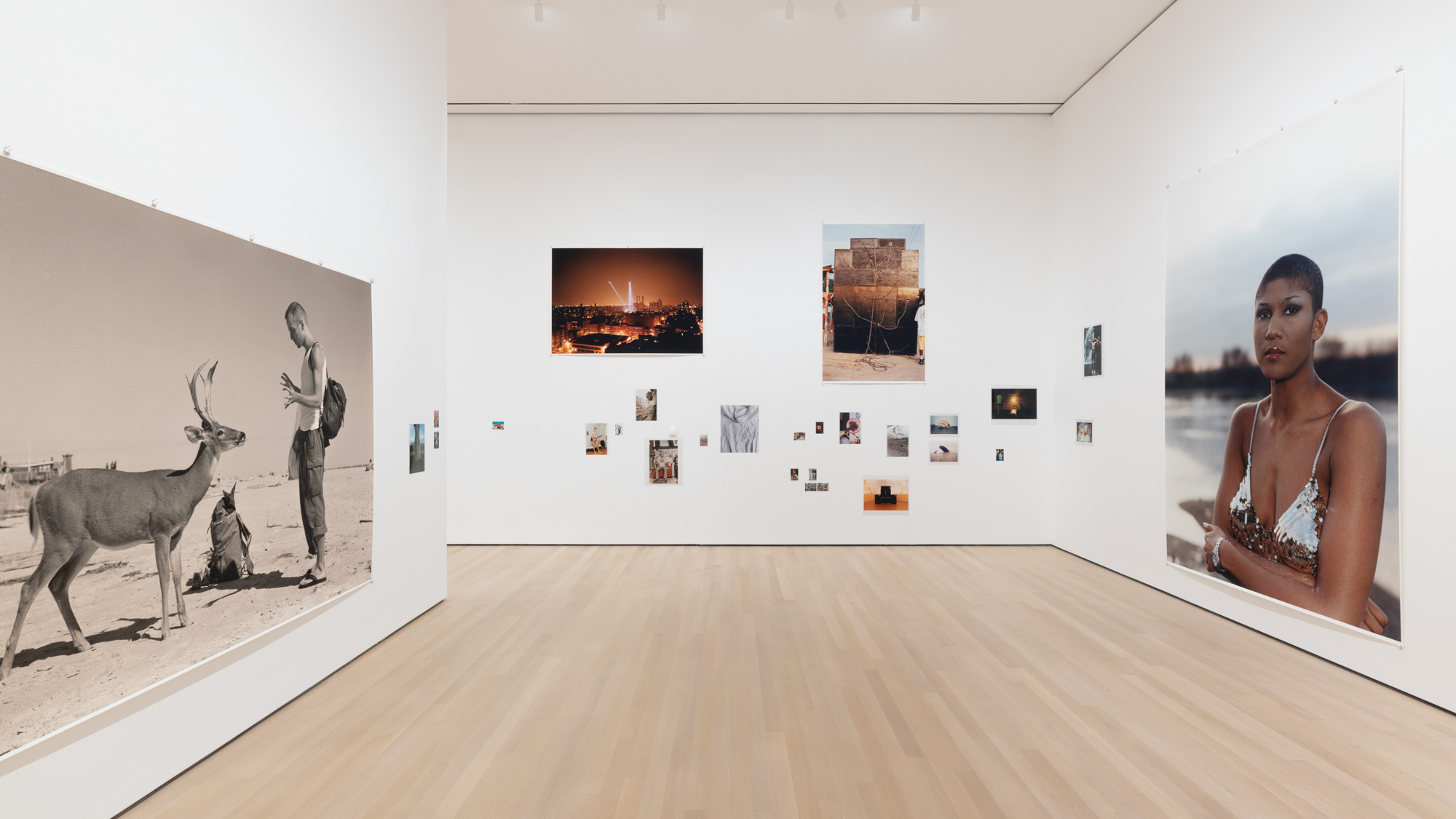 写真家のヴォルフガング・ティルマンスによる、MoMAでの展覧会