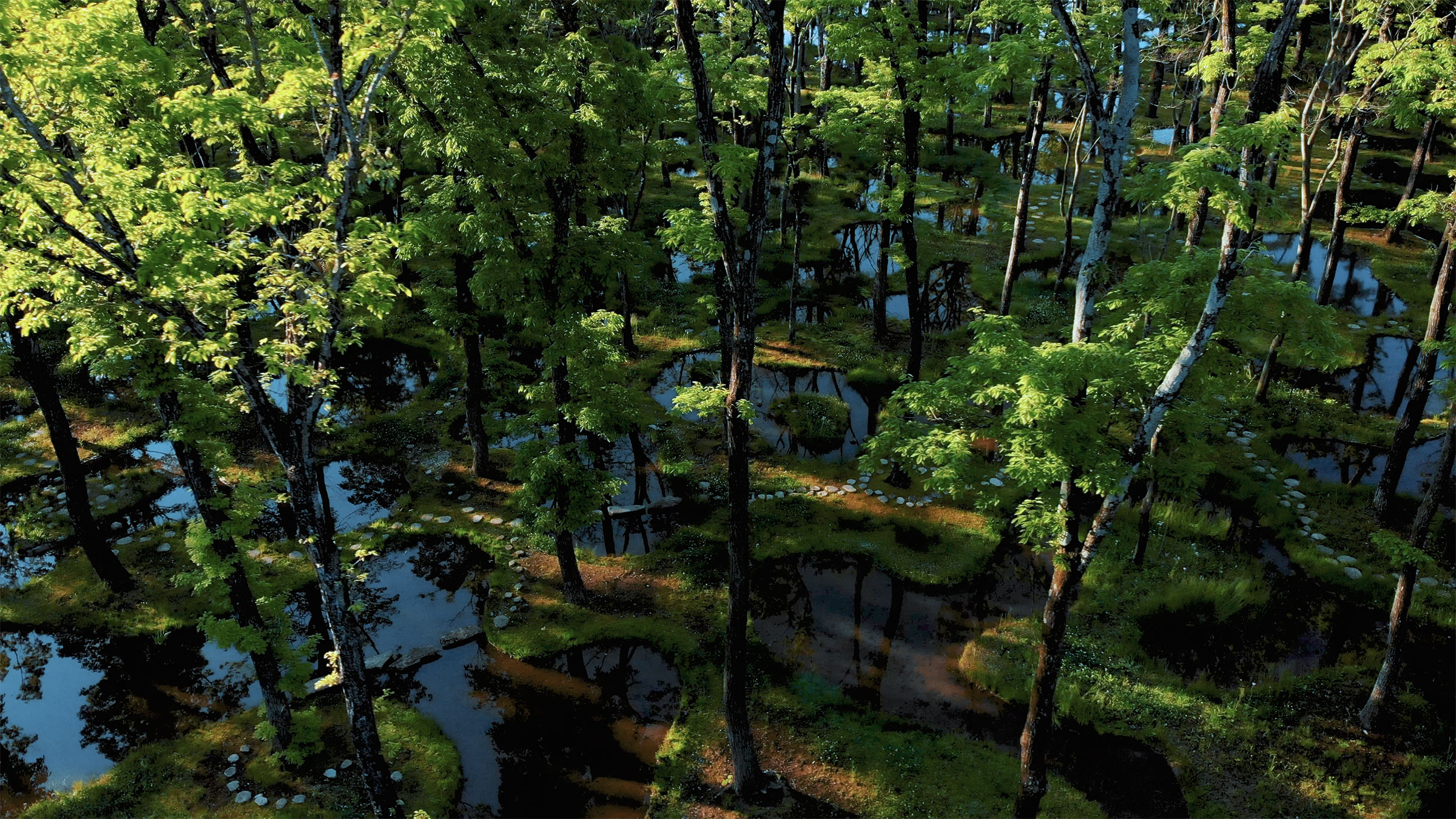 junya-ishigami-mizuniwa-1-