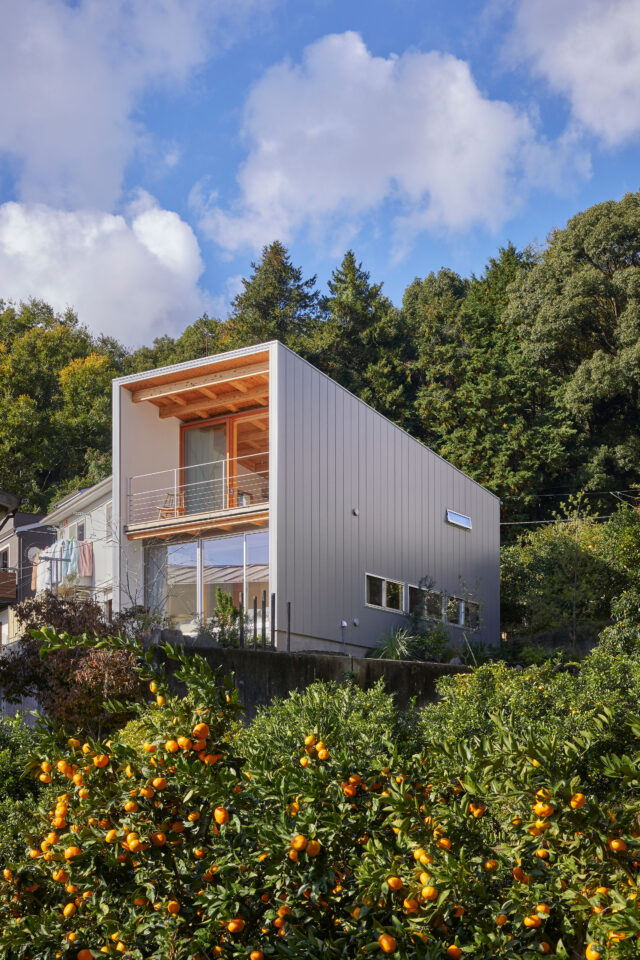 安藤忠雄によるスリランカの住宅の写真 | architecturephoto.net